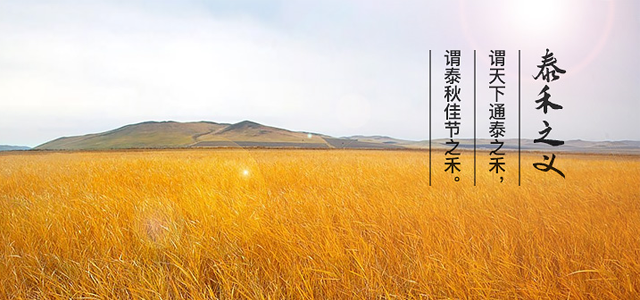 泰禾集团 泰禾集团